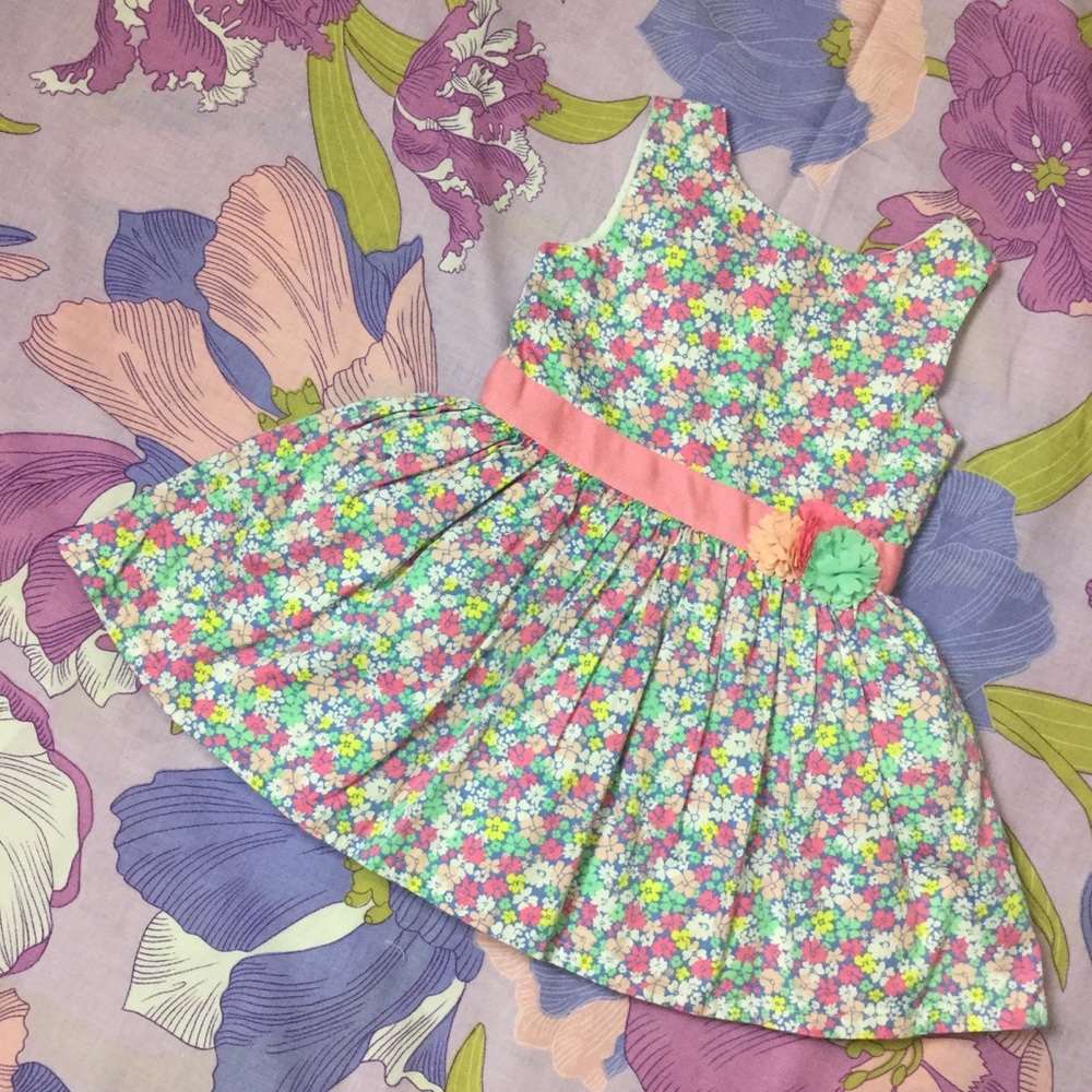 Carter’s  Formal Pink Floral Dress 24M
